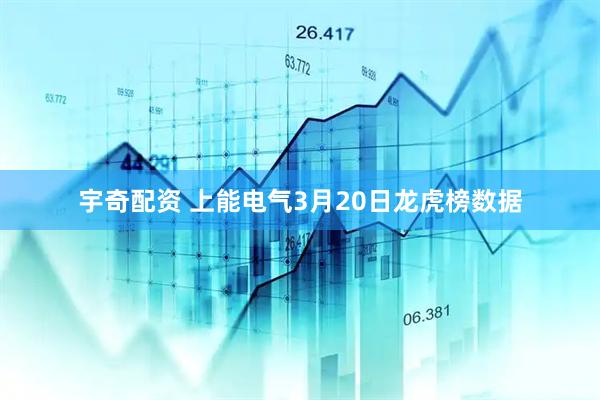 宇奇配资 上能电气3月20日龙虎榜数据