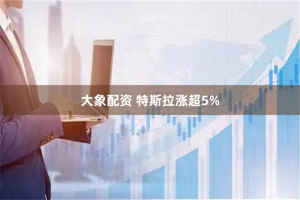 大象配资 特斯拉涨超5%