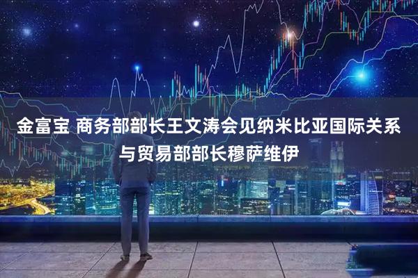 金富宝 商务部部长王文涛会见纳米比亚国际关系与贸易部部长穆萨维伊