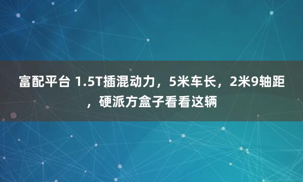 富配平台 1.5T插混动力，5米车长，2米9轴距，硬派方盒子看看这辆