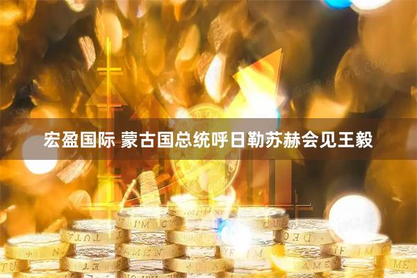 宏盈国际 蒙古国总统呼日勒苏赫会见王毅