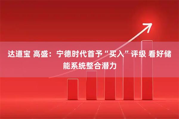 达道宝 高盛：宁德时代首予“买入”评级 看好储能系统整合潜力