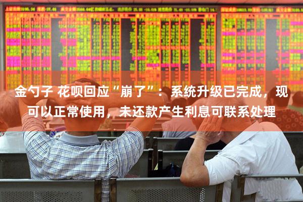 金勺子 花呗回应“崩了”：系统升级已完成，现可以正常使用，未还款产生利息可联系处理