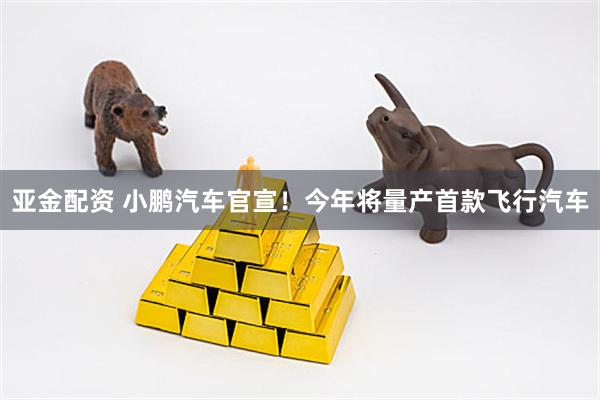 亚金配资 小鹏汽车官宣!今年将量产首款飞行汽车