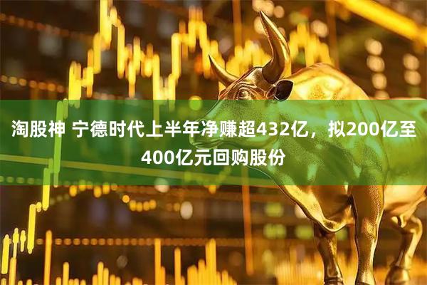 淘股神 宁德时代上半年净赚超432亿，拟200亿至400亿元回购股份